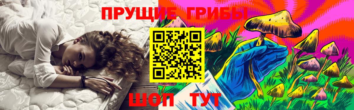 Корсаков  Псилоцибиновые грибы Cubensis  Галлюциногенные грибы ЛСД  где купить   Вход с VPN 